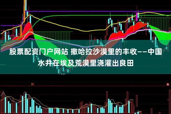 股票配资门户网站 撒哈拉沙漠里的丰收——中国水井在埃及荒漠里浇灌出良田