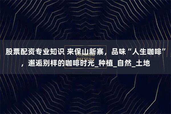 股票配资专业知识 来保山新寨，品味“人生咖啡”，邂逅别样的咖啡时光_种植_自然_土地