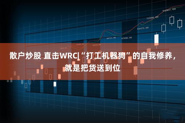 散户炒股 直击WRC|“打工机器狗”的自我修养，就是把货送到位