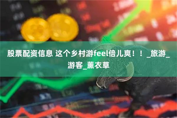 股票配资信息 这个乡村游feel倍儿爽！！_旅游_游客_薰衣草